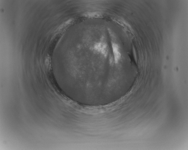 X0000076300029200610161605