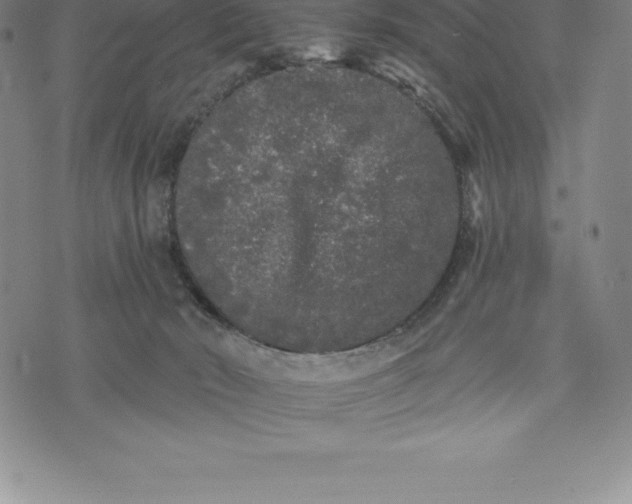 X0000076300030200610161605