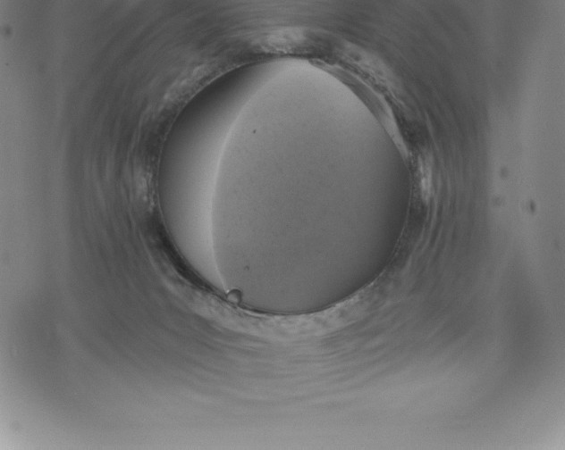 X0000076300031200610161605