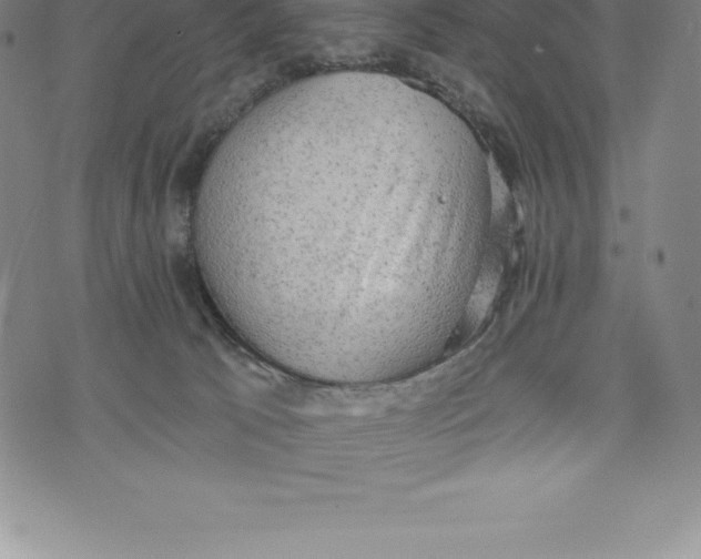 X0000076300033200610161605