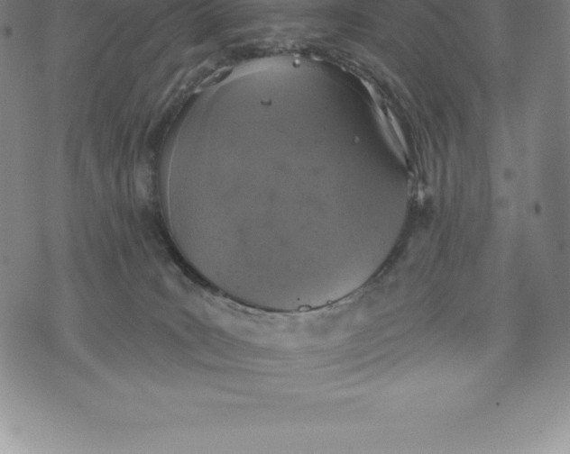 X0000076300035200610161605