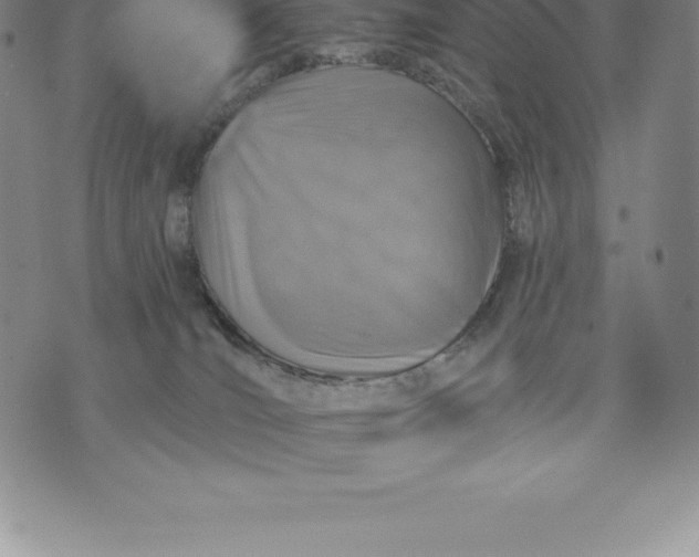 X0000076300036200610161605