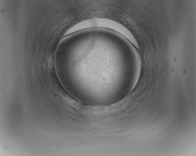 X0000076300037200610161605