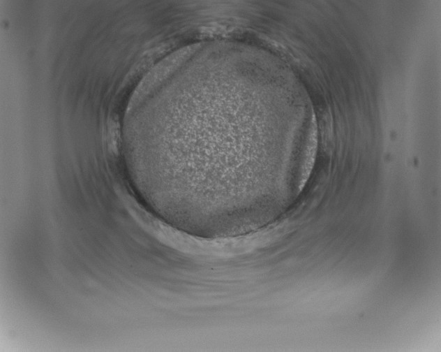 X0000076300038200610161605