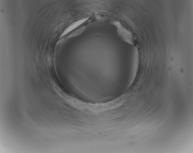 X0000076300039200610161604