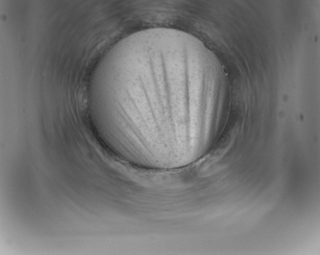 X0000076300040200610161604