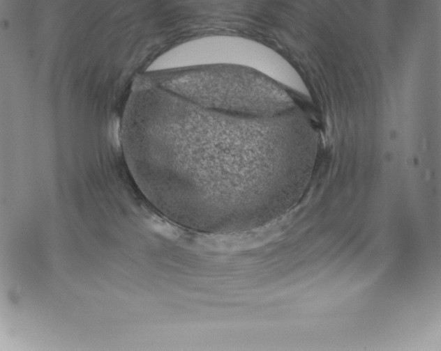 X0000076300041200610161604