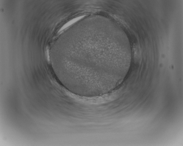 X0000076300042200610161604