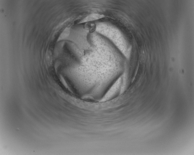 X0000076300043200610161604