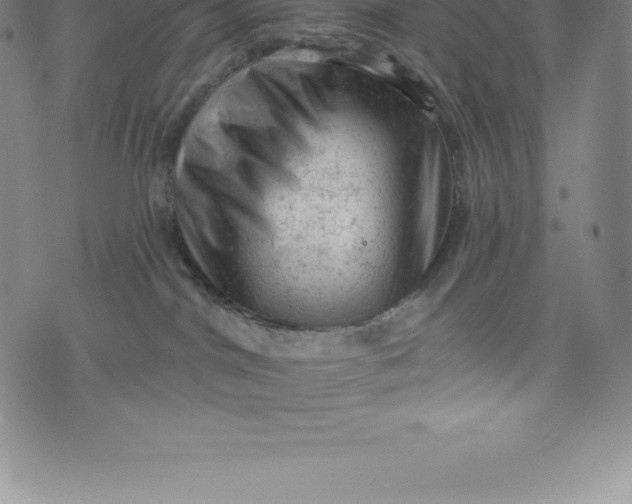 X0000076300044200610161604