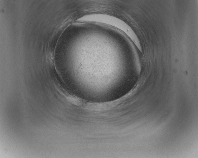 X0000076300045200610161604