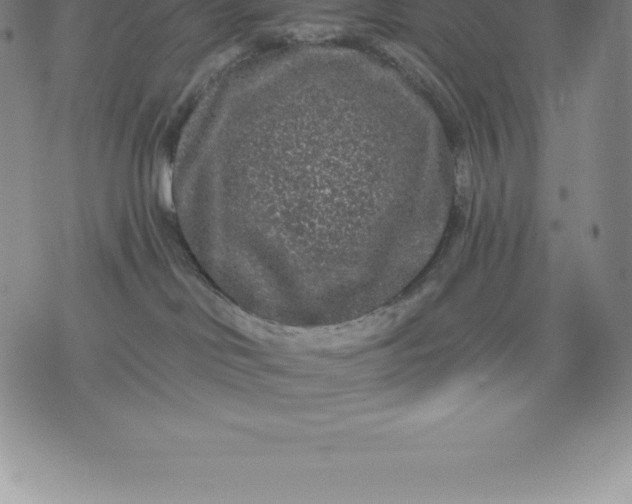 X0000076300046200610161604