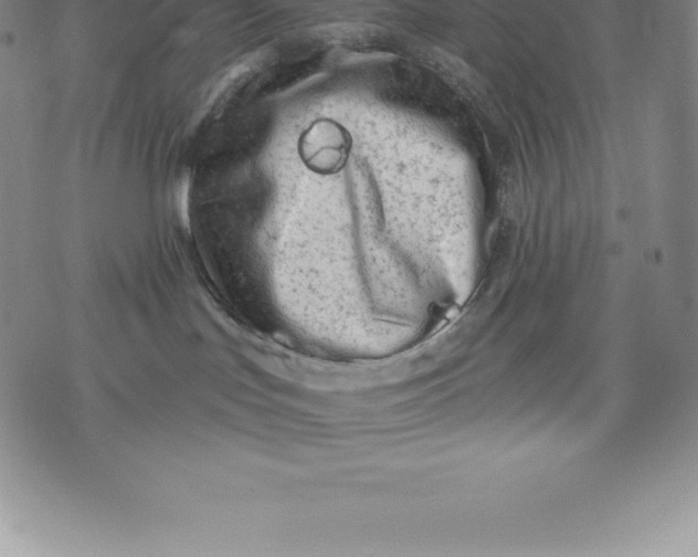 X0000076300047200610161604