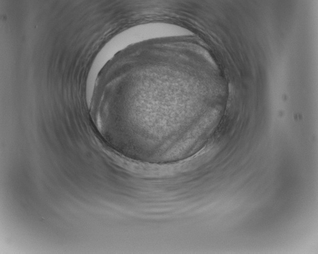 X0000076300048200610161604