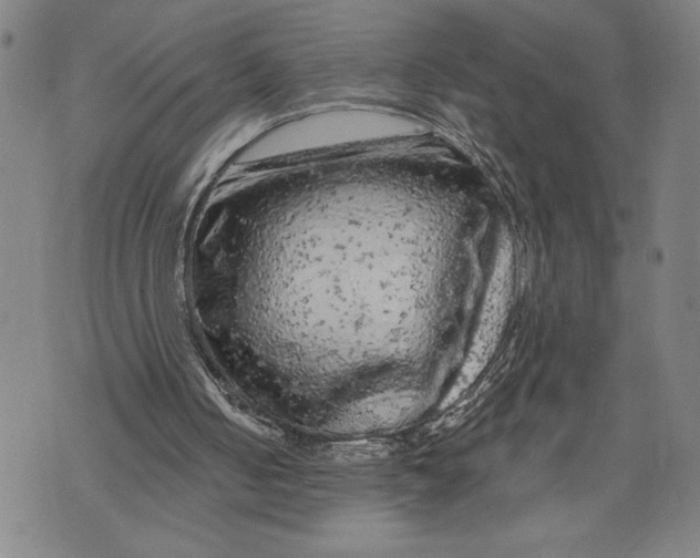 X0000076300050200610161604