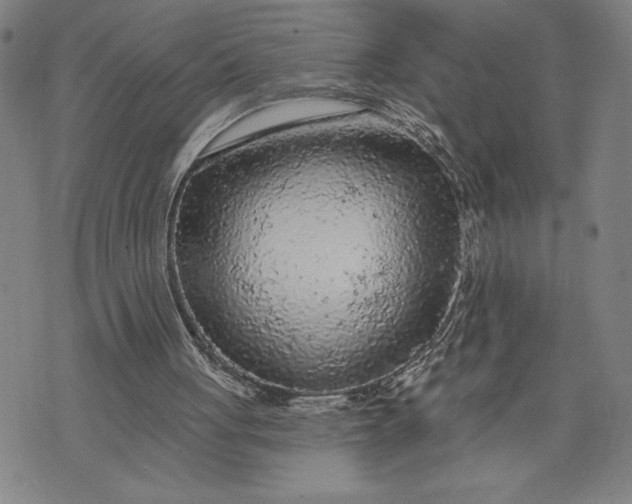 X0000076300051200610161604