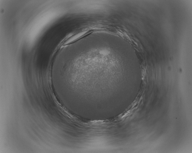 X0000076300052200610161604