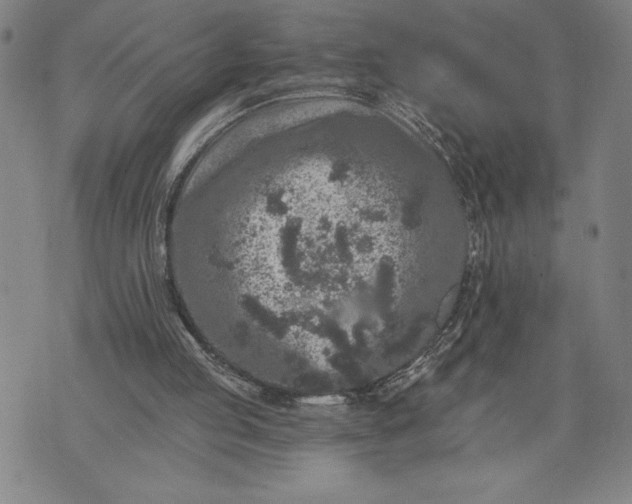 X0000076300053200610161604