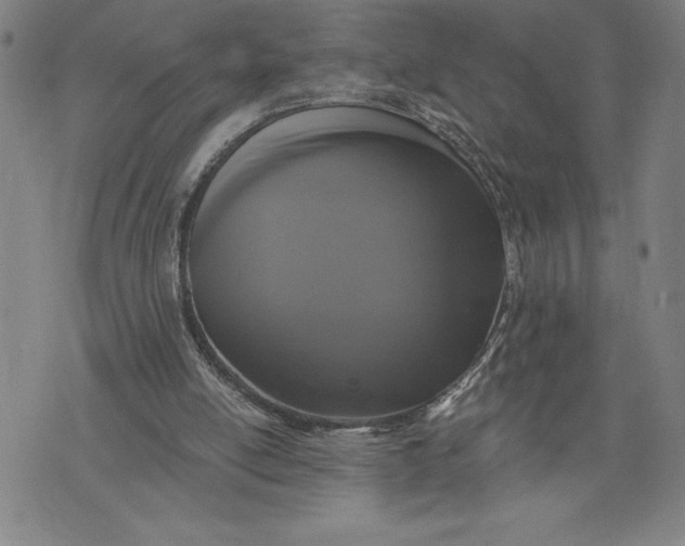 X0000076300054200610161604