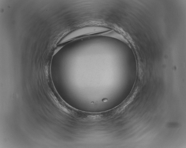 X0000076300057200610161604