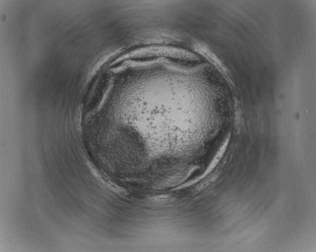 X0000076300058200610161604