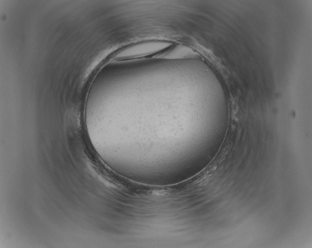 X0000076300060200610161604