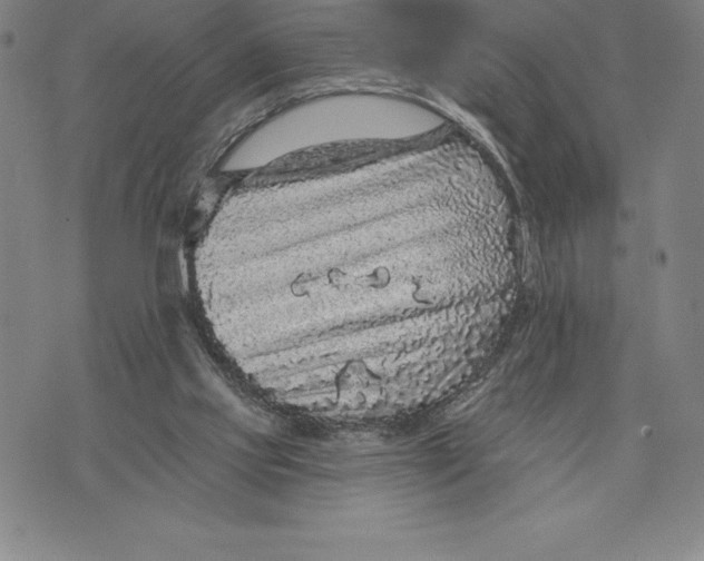 X0000076300061200610161604