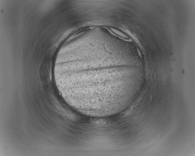 X0000076300062200610161604