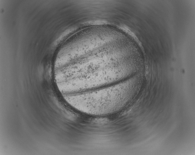 X0000076300063200610161604