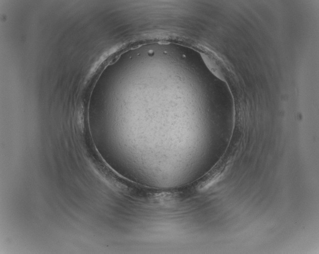 X0000076300064200610161604