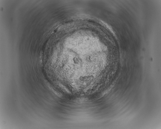 X0000076300065200610161604