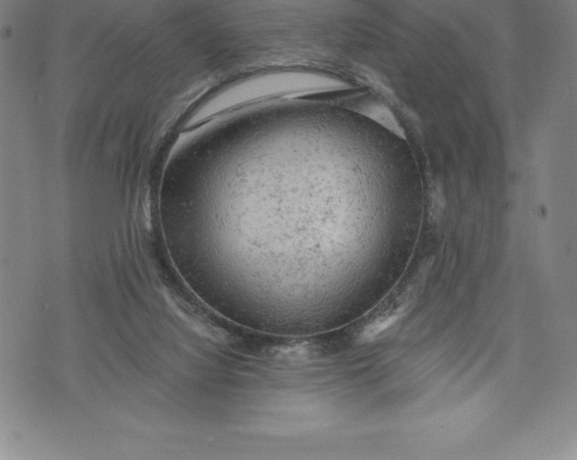 X0000076300068200610161604