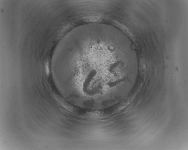 X0000076300069200610161604