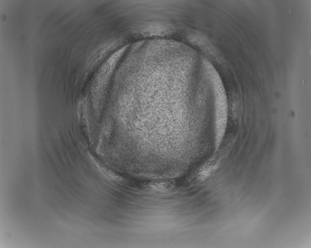 X0000076300070200610161604