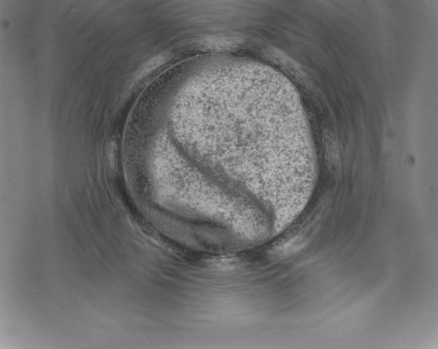 X0000076300071200610161604