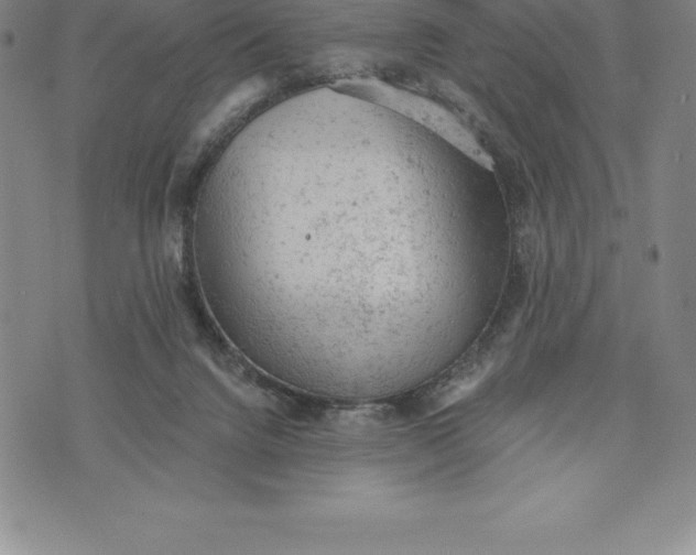 X0000076300072200610161604