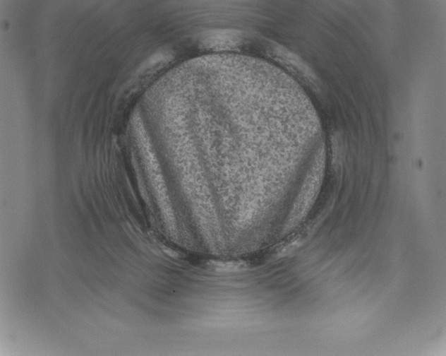 X0000076300073200610161604