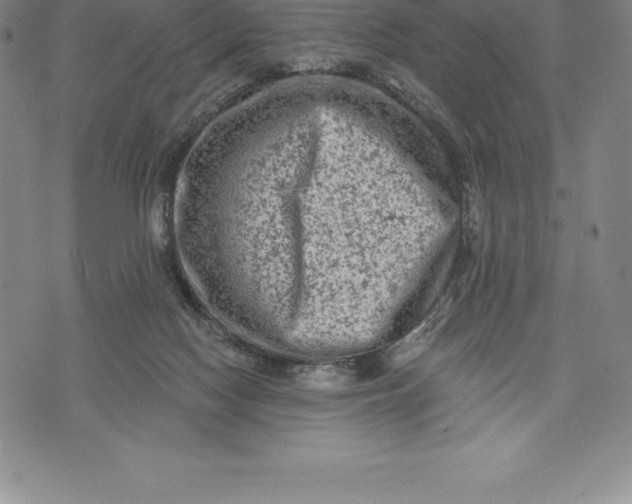 X0000076300074200610161604