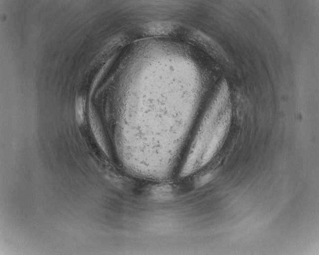 X0000076300075200610161604