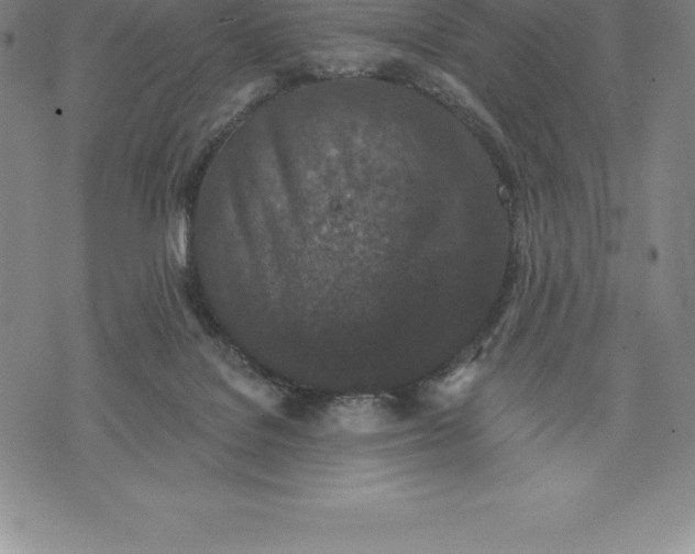 X0000076300076200610161604