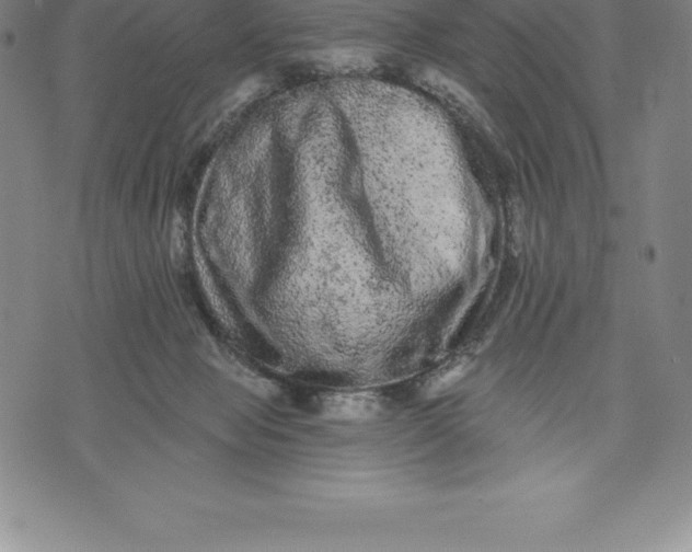 X0000076300077200610161604