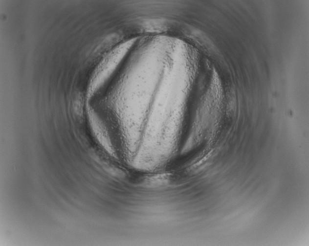 X0000076300078200610161604