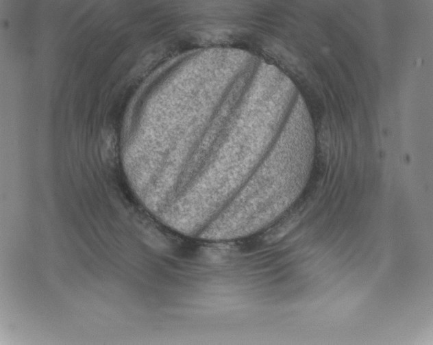 X0000076300079200610161604