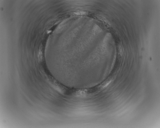 X0000076300080200610161604