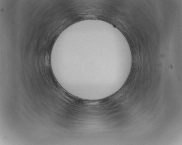 X0000076300081200610161604