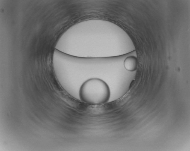 X0000076300082200610161604