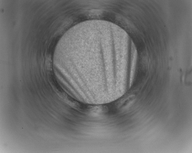 X0000076300083200610161604