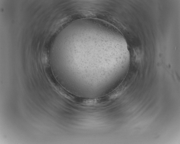 X0000076300084200610161604