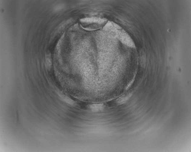 X0000076300085200610161604