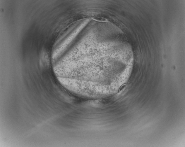 X0000076300086200610161604